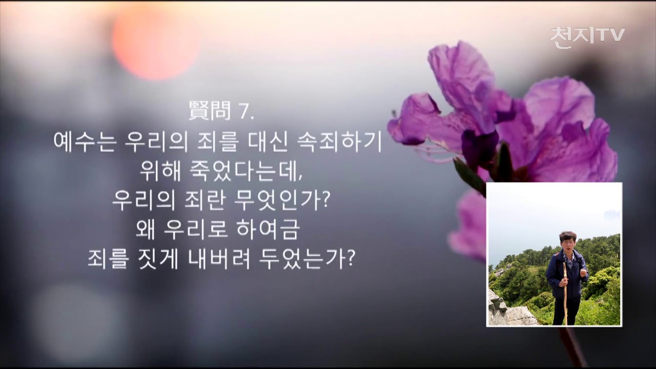 통영 소매물도에서 전하는 ‘불로초’의 전설[천지TV]