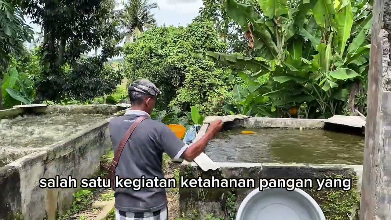 515043.   Ketahan Pangan