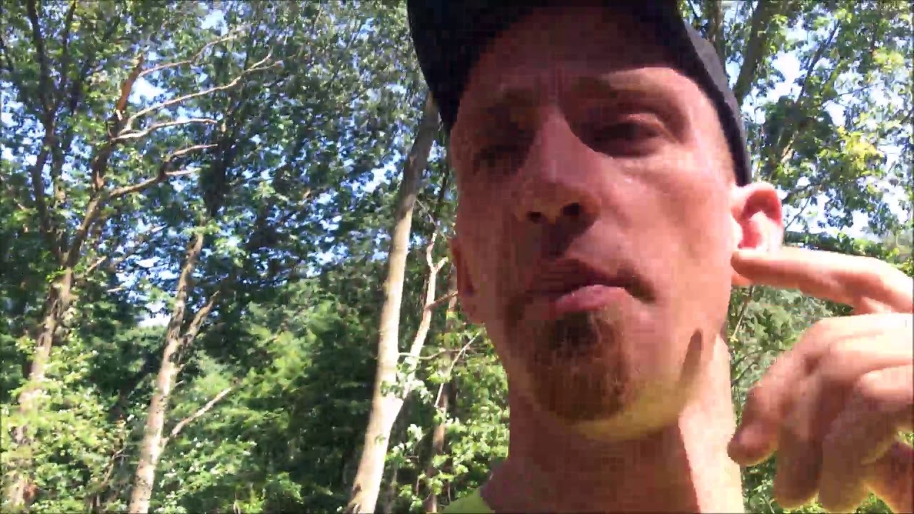 Log grading