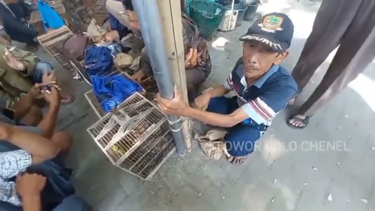 Suasana Asli Pasar Burung Depok Solo yang Jarang Terekspose