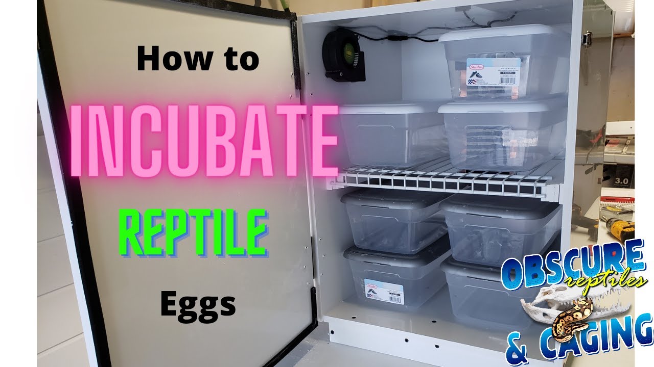 Using a PVC Incubator