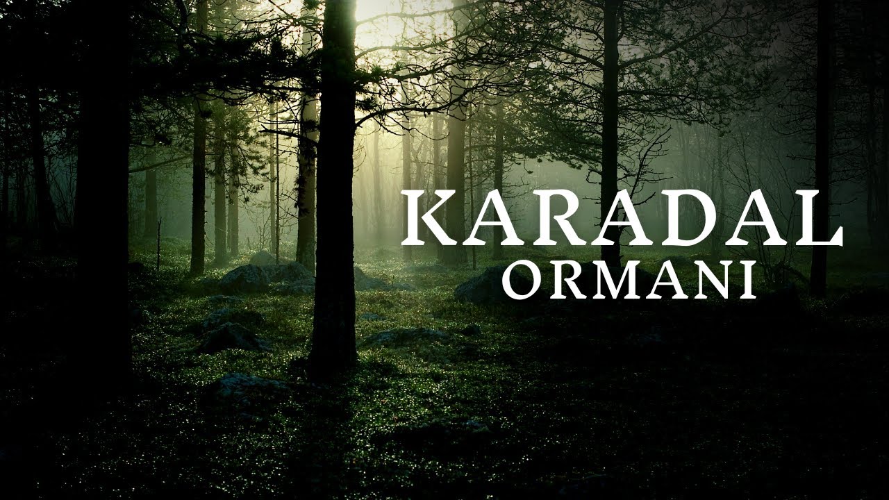 Lübnan Beyrut'tan Hatay'a Define Aramaya Gelen Ermeni Gençin Yaşadığı Korkunç Olaylar|Cin Hikayeleri