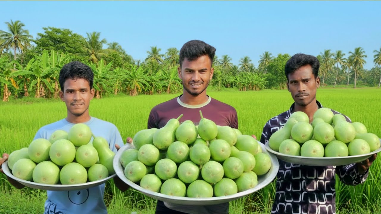 Jumbo Bottle Gourd Dish! Traditional Village Cooking Recipe.