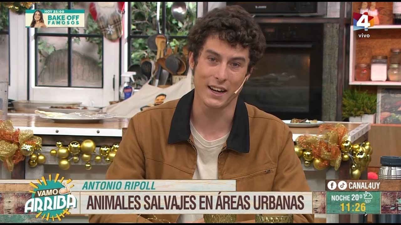 Vamo Arriba - Animales salvajes en &aacute;reas urbanas