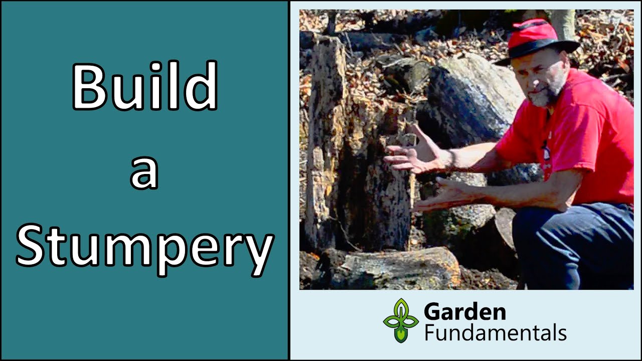 How To Build a Stumpery Garden 🎥🌗🕺Start to Finish