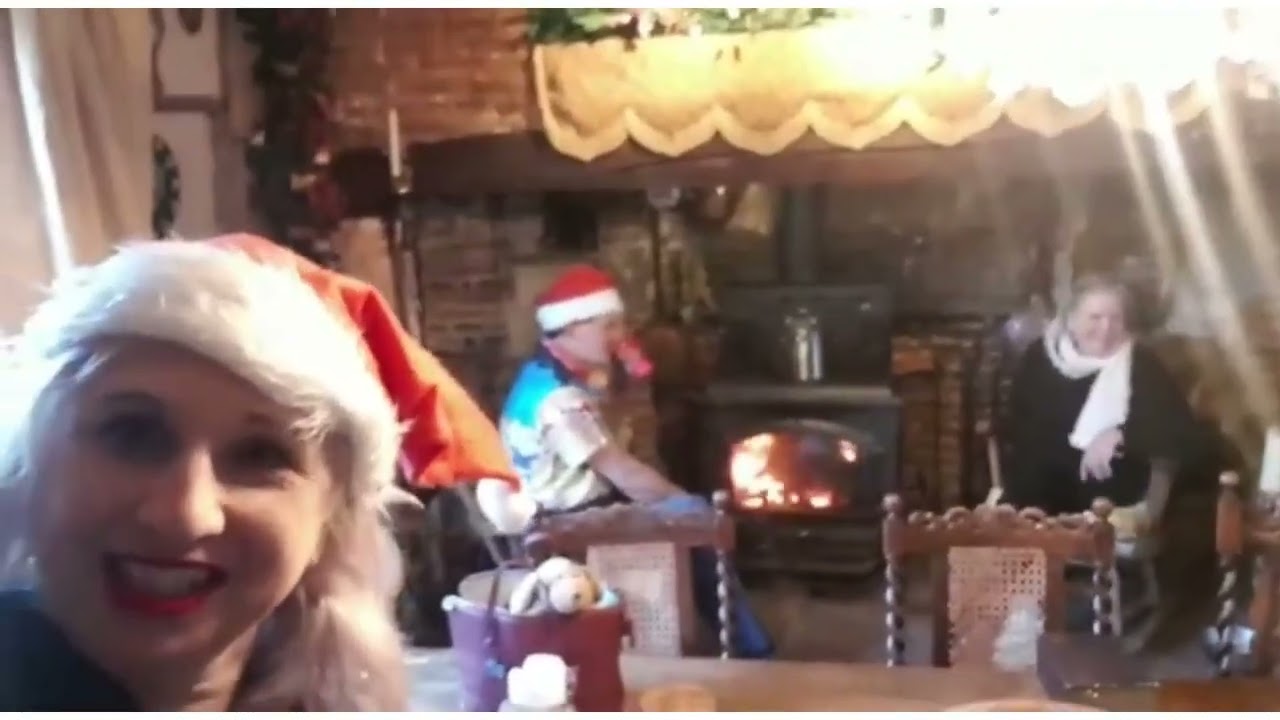 Jolly Jivers,  Jamie Meeting dog Guest dog at Bridge Street Guest House