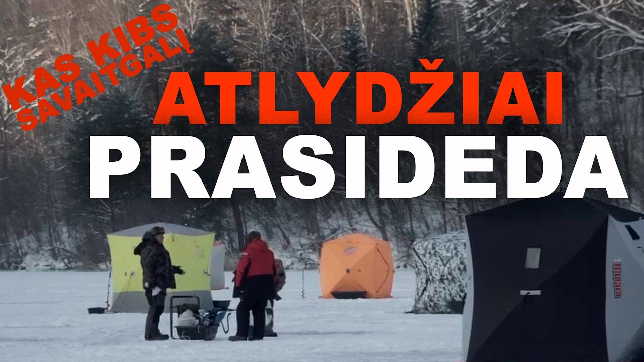 Žuvų dusimas prasideda, stinta juda mariose. Kas kibs savaitgalį