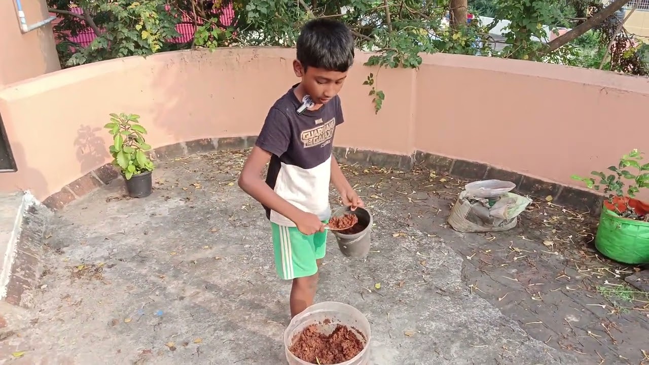 Planting Mango Ginger on Our Rooftop Garden | Mathi’s First Try! (25/1/2016)