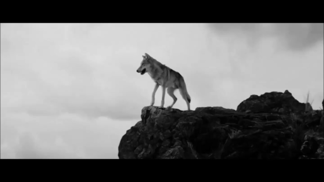 Codi De Silenci - Ronin