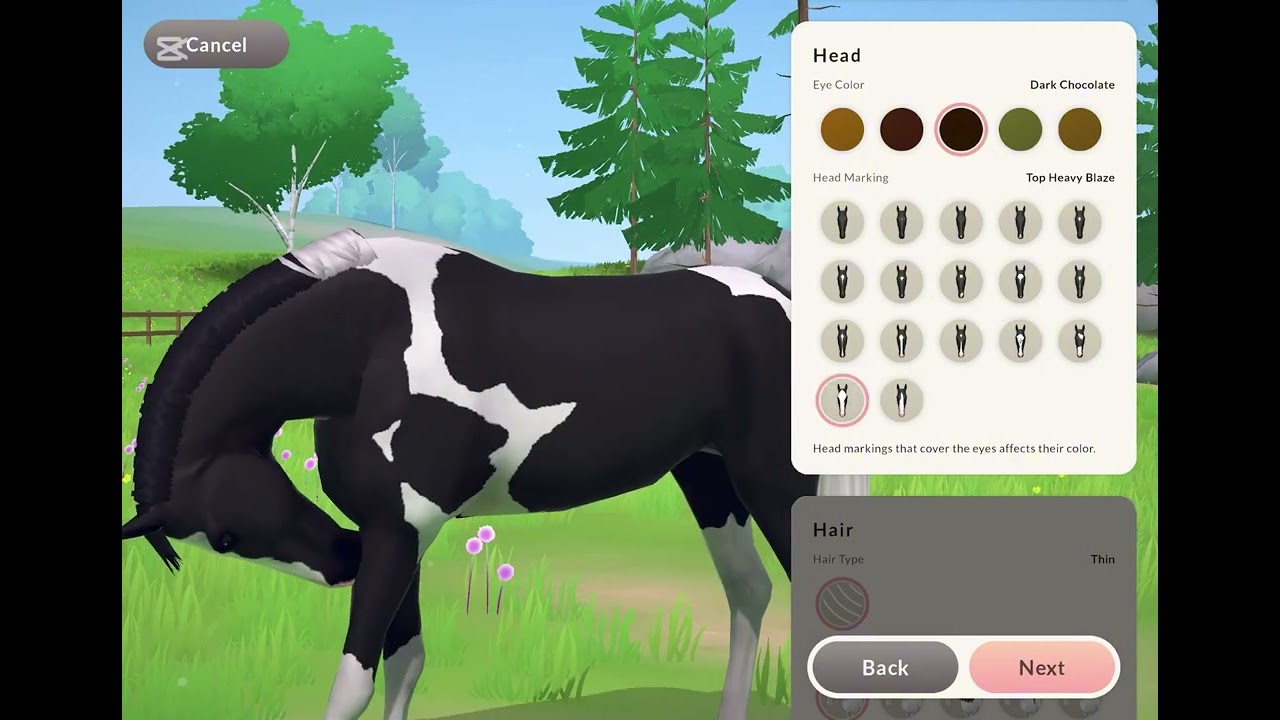 Customise a horse with me