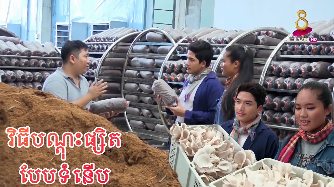 បច្ចេកទេសបណ្ដុះផ្សិតច្រើនប្រភេទនៅកសិដ្ឋានខេមា