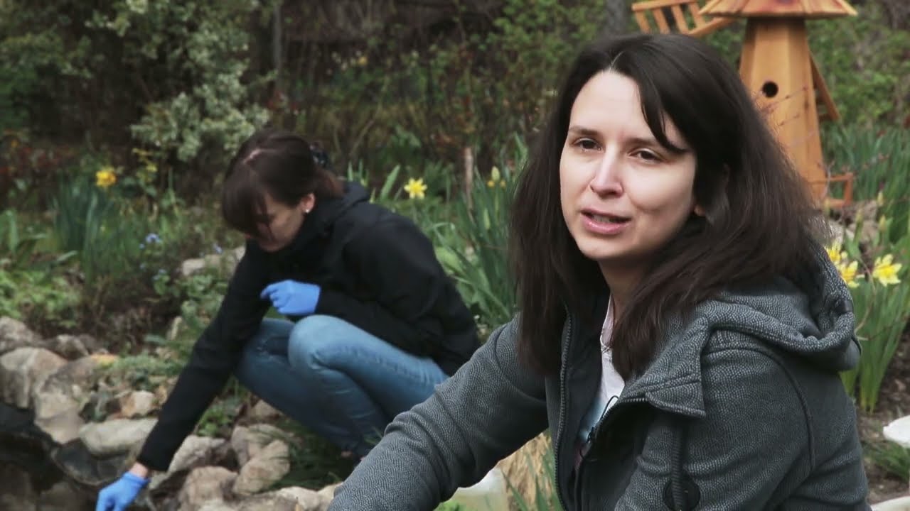 ELKH ÖK: Kerti tavak