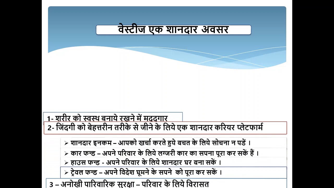 Vestige Business Plan 2020