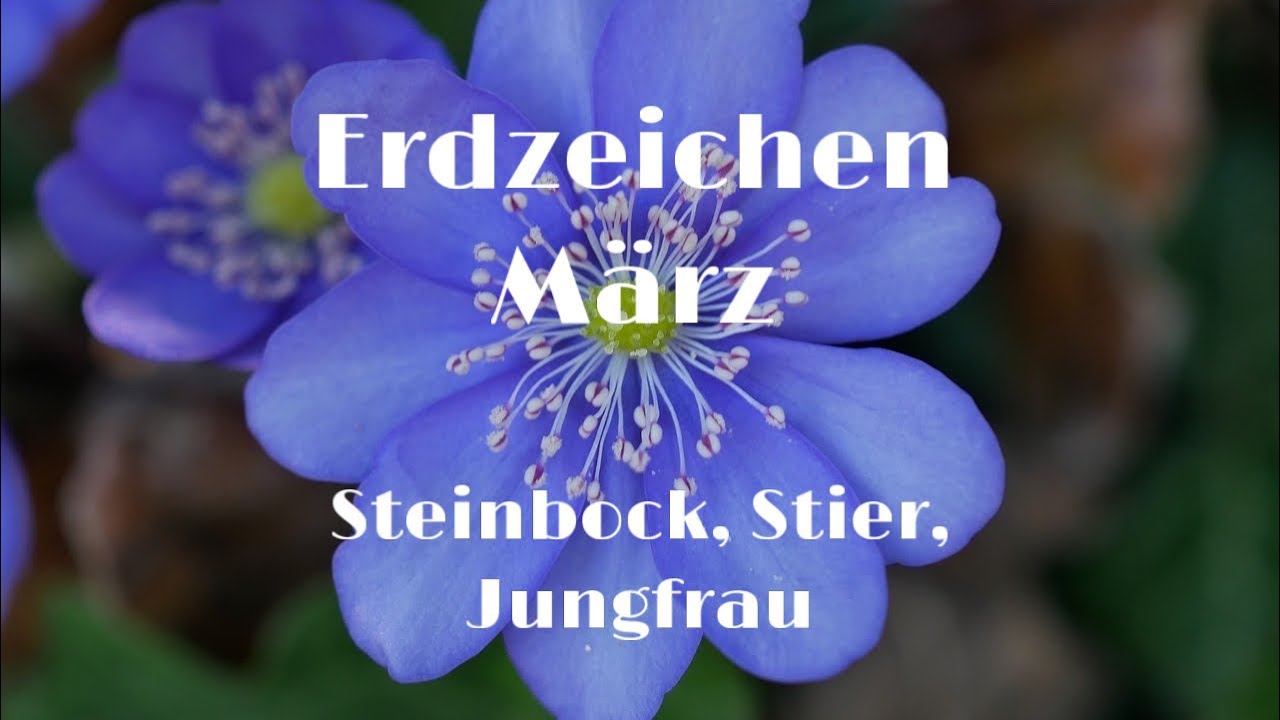 Erdzeichen März 💕 • (Steinbock, Stier, Jungfrau) Was kommt? Was geht!? 