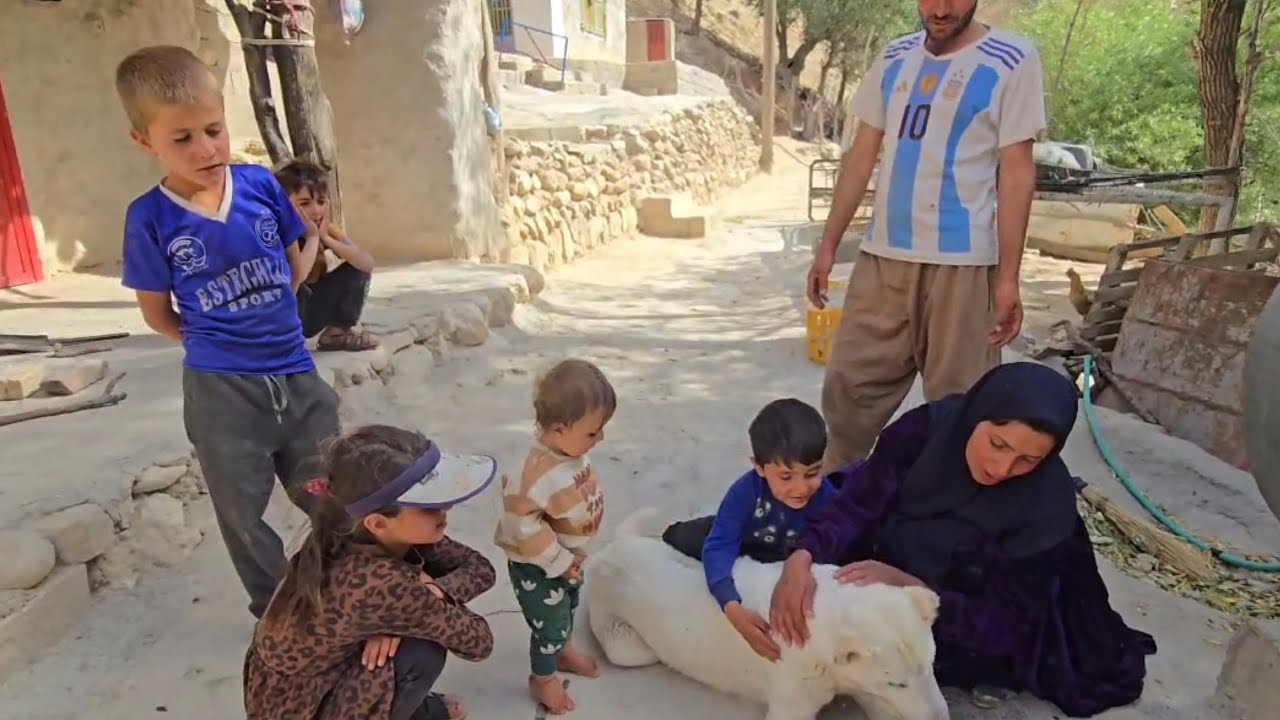 The Atabak family's trip to the village to harvest the farm's crops