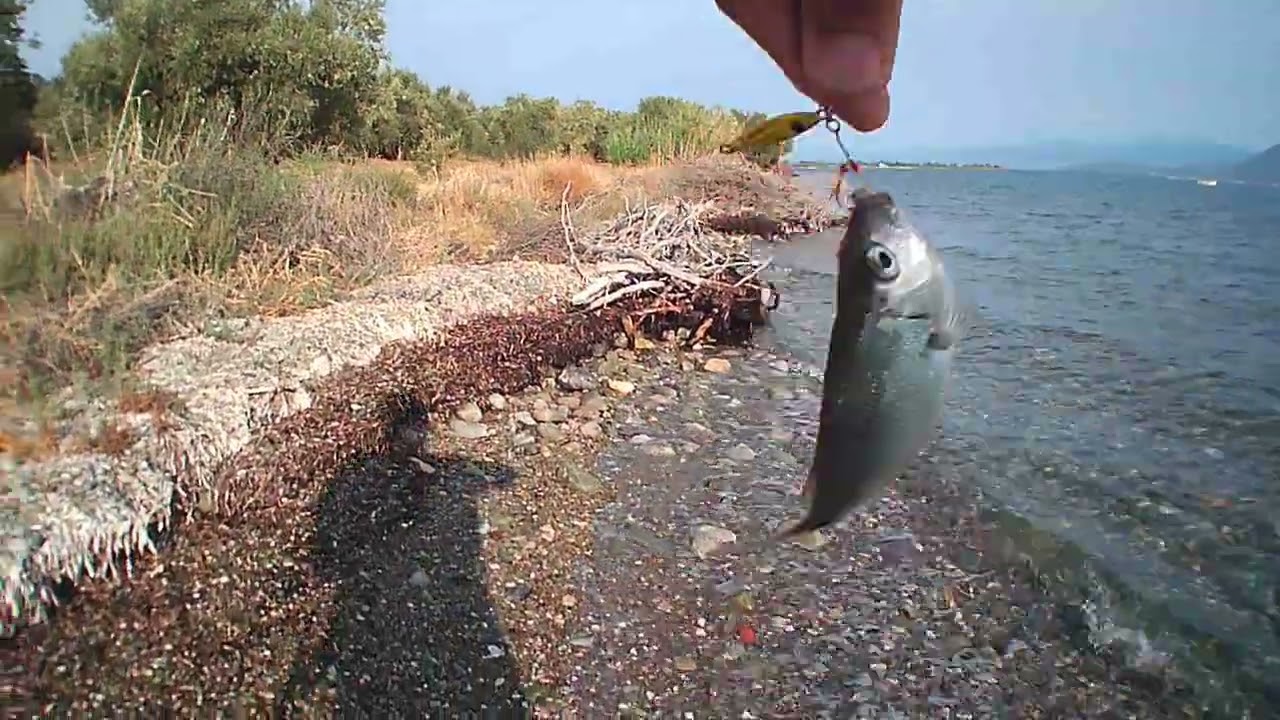 #lrf #ψάρεμα #fishing σε παραλία λίγο πριν τον Άγιο Κωσταντίνο Φθιώτιδας .