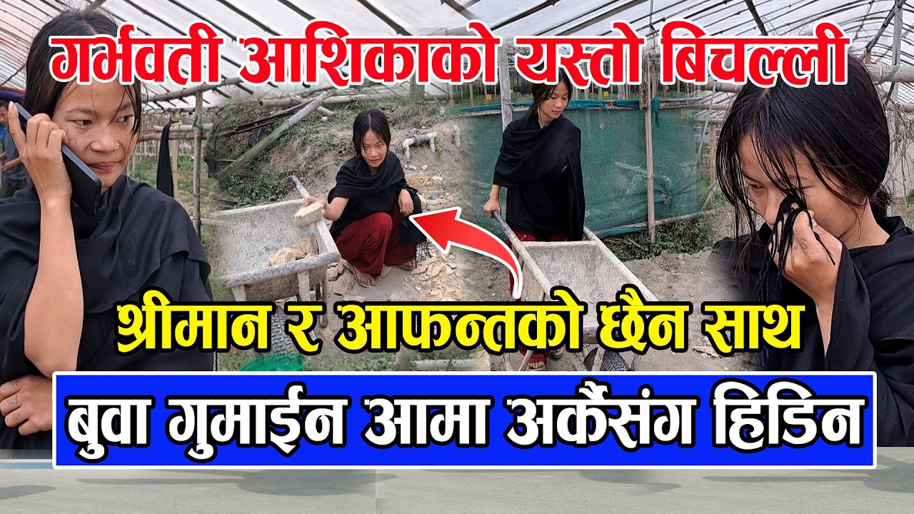 गर्भवती Ashika Tamang को यस्तो बिचल्ली / सानैमा बुवा बिते आमा अर्कैसंग हिडिन /  श्रीमानको छैन साथ