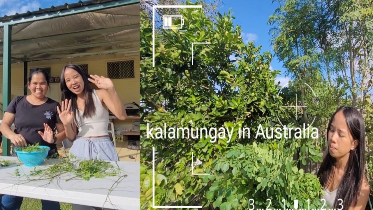 May Kalamunggay Sa Australia Nanghingi Sa Kaibigan kung Sis Lourdes ❤️