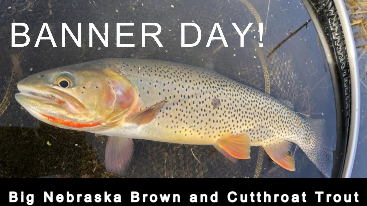 A BANNER Day of Fly Fishing in Nebraska | Big Nebraska Brown and Cutthroat Trout