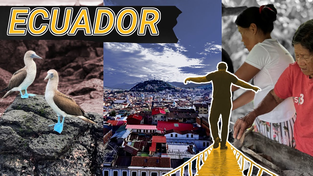 Ecuador in 14 Days: Amazon, Cotopaxi & Galápagos Adventure