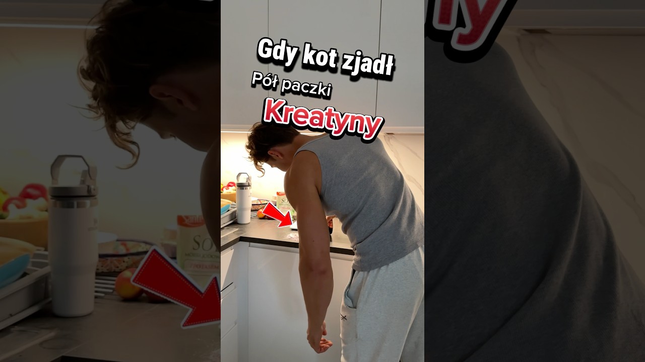 Gdy kot zje kreatynę! Pamiętaj 5gram nie więcej.. 