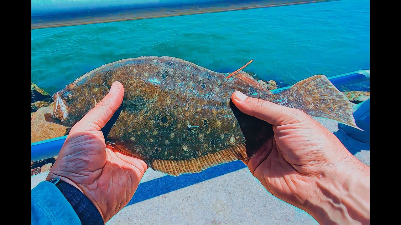 Caught my PB Flounder!!!