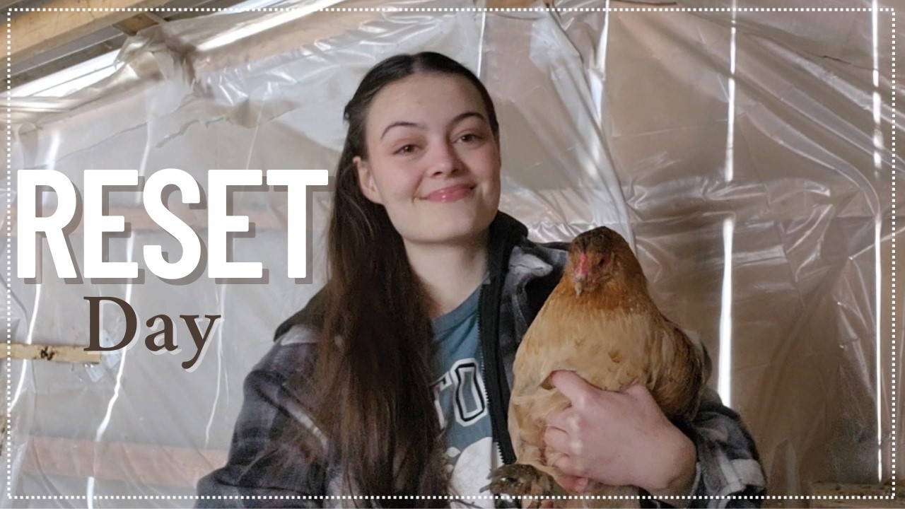 Homestead Reset Day! Trimming Onion Seedling, Fixing Duck Run & More