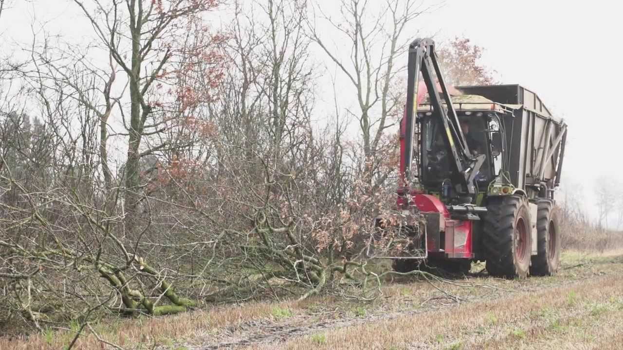 Flishugning ved Brdr Willemoes Skovservice