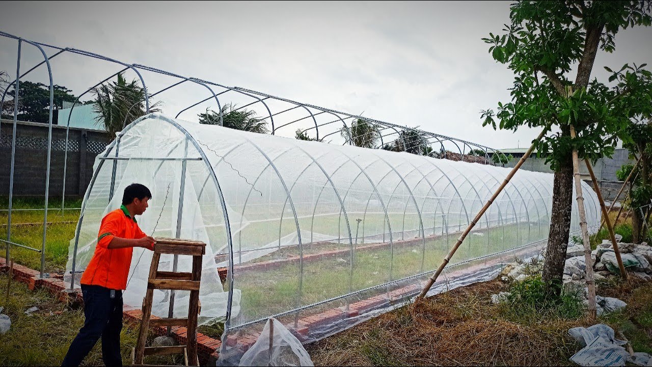 NHÀ LƯỚI NHÀ MÀNG TRỒNG RAU CỠ NHỎ TỰ LẮP   CHI PHÍ RẺ