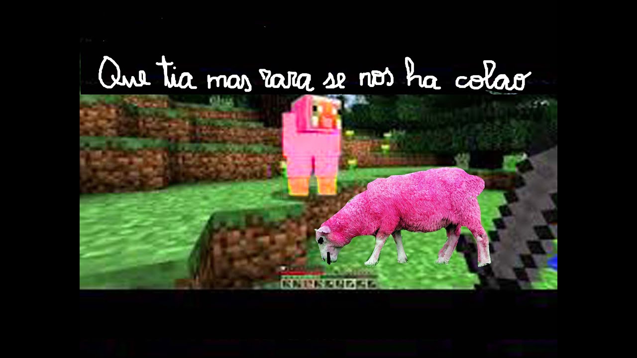 Madre Experta en Minecraft - capitulo 1