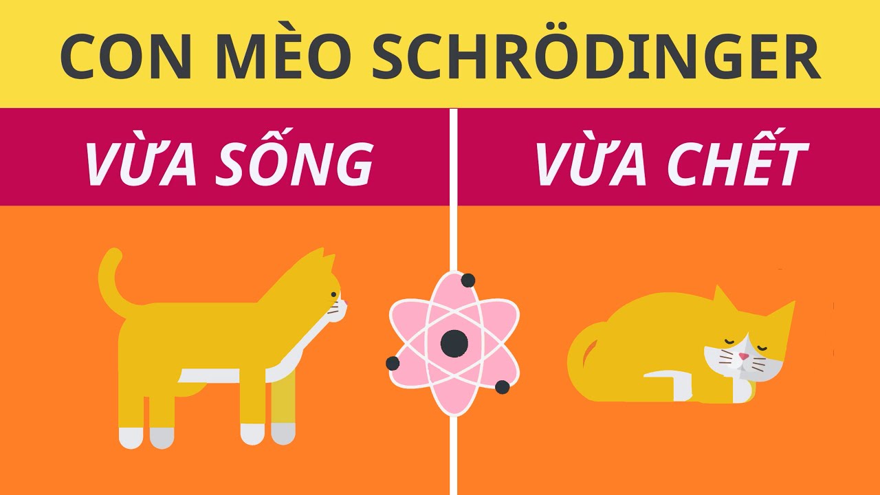 Con M&egrave;o Của Schr&ouml;dinger | Sự B&iacute; Ẩn Của Vật L&yacute; Lượng Tử