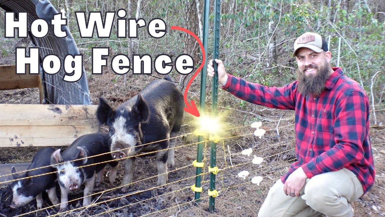 Easy, Electric Wire Fence Install | Perfect for Hogs!