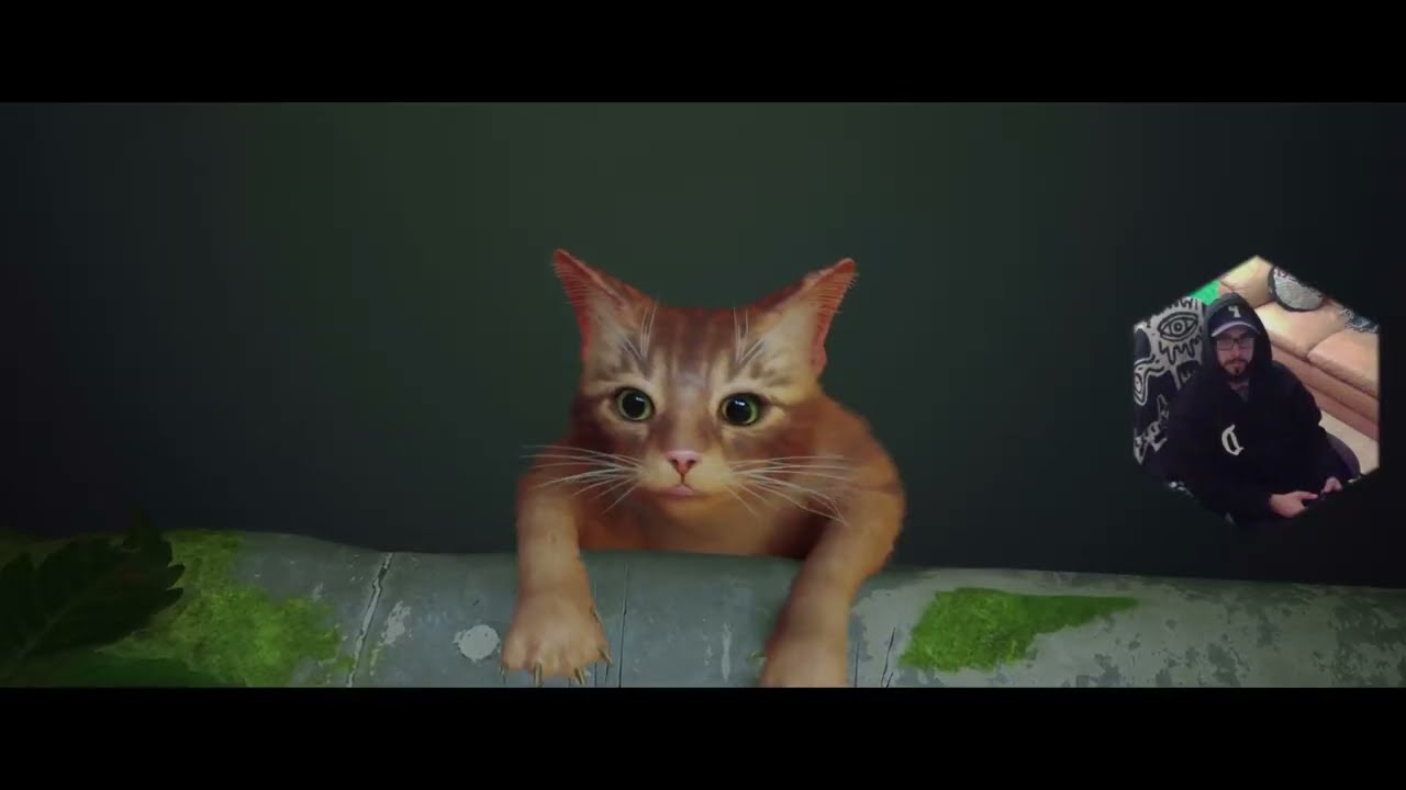 PsiloSage Streams: Stray (11/16/2025)