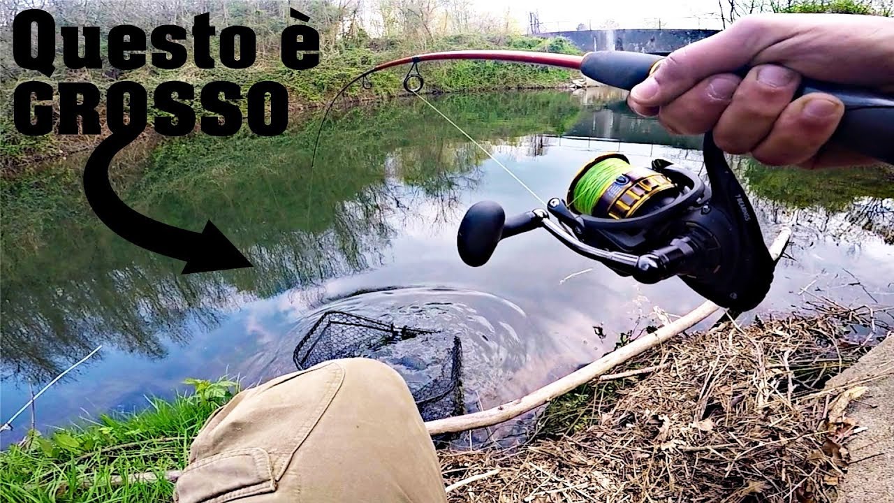 Ho pescato il RE della buca! - Spot PICCOLO pesce GRANDE - Pesca a spinning in fiume al LUCCIO PERCA