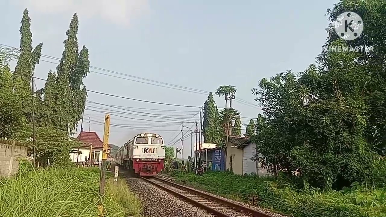 Vlog Hunting KA#1 | Hunting Di JPL 147 Rejoso Pasuruan.