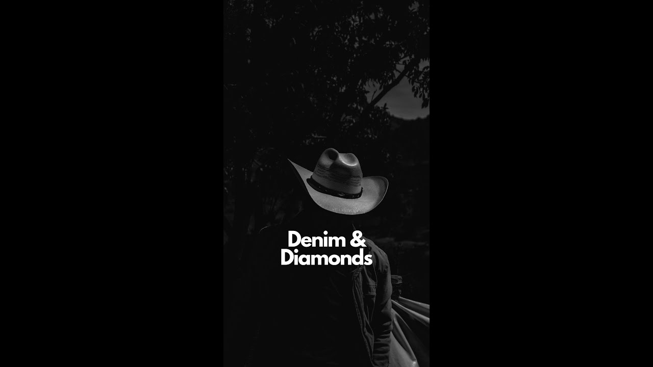Denim & Diamonds (SOI Gala 2024)