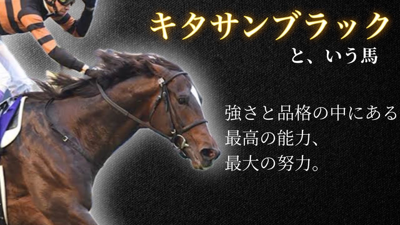 【祝祭】キタサンブラック🐎✨