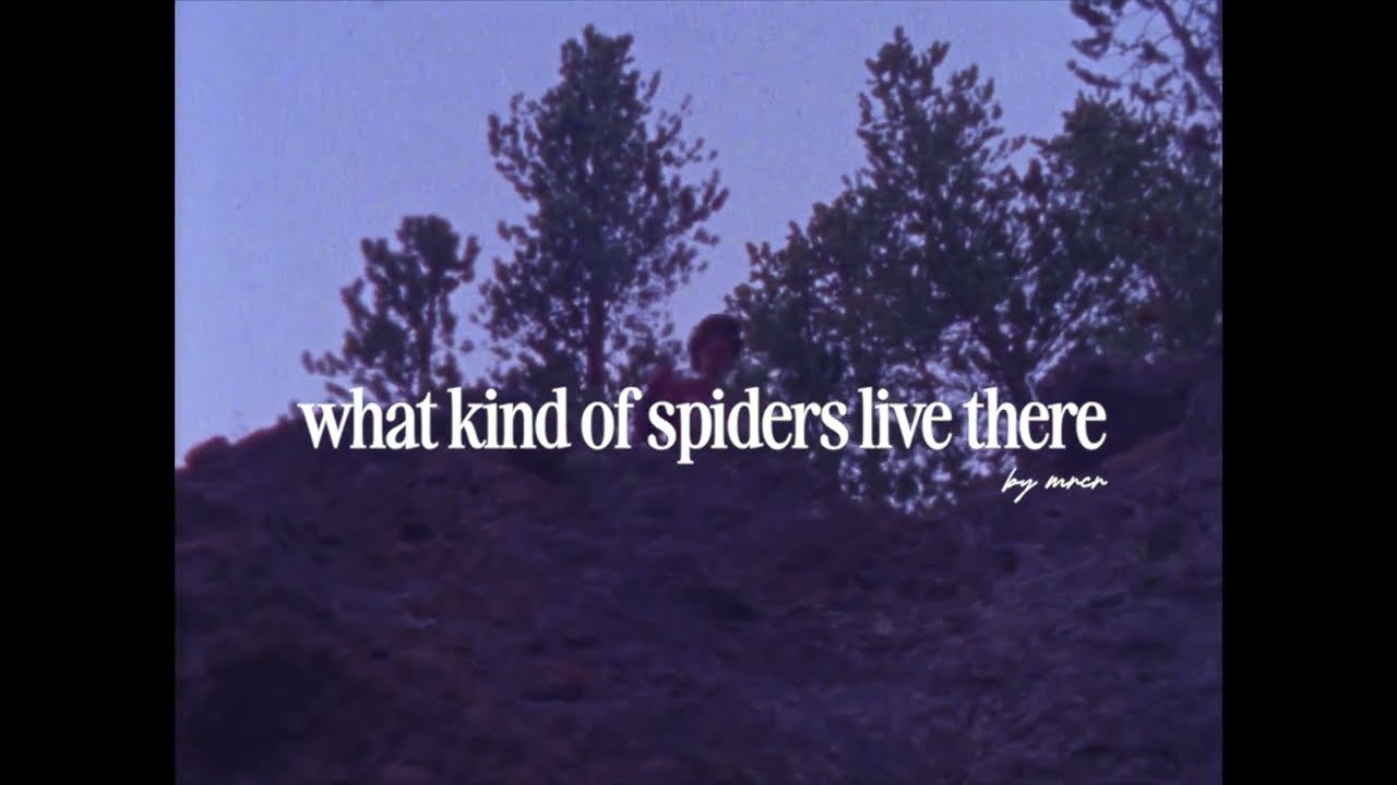 what kind of spiders live there (Lyric Video)