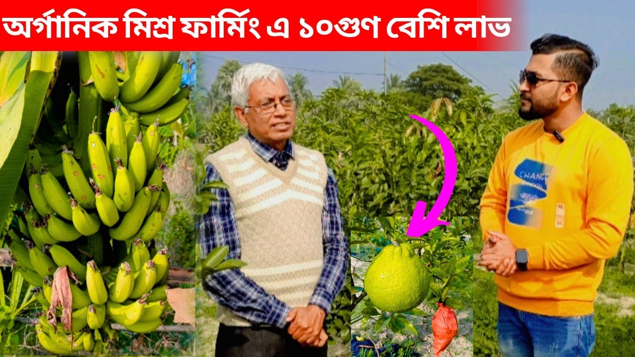 অর্গানিক মিশ্র ফার্মিং এ 10 গুণ বেশি লাভ। পশ্চিমবঙ্গের অনেক সুন্দর একটি মিশ্র খামার।