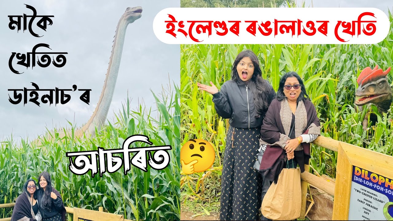 Fantasy farm/ ইংলেণ্ডৰ মাকৈ খেতিত হাঁহ,মূৰ্গী 🦆 🐓