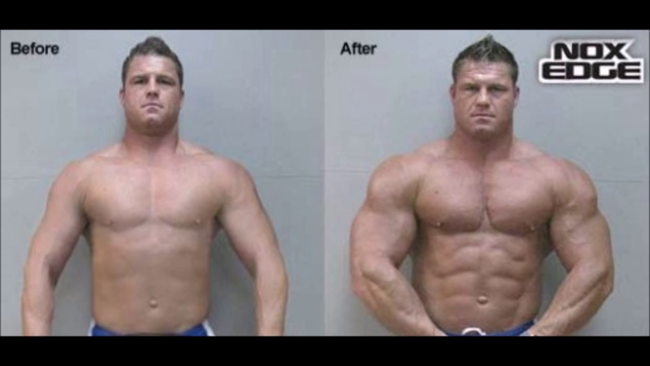 Probolan 50 Steroidi Integratori Body Building