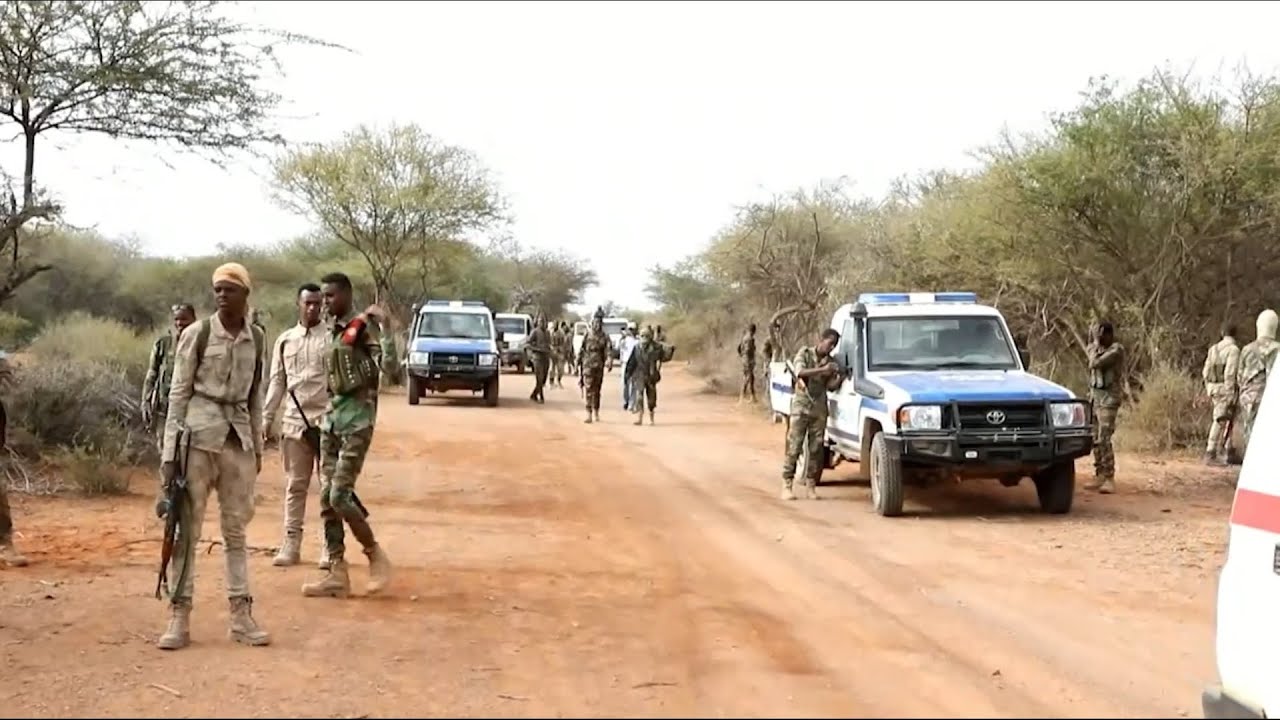Ciidamada Amaanka Koonfur Galbeed oo Baydhabo ku dilay Xubno ka tirsan Al-shabaab.