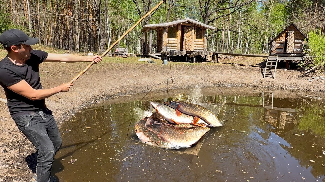 Просто ШОК! Сколько здесь щуки, в пересохшем пруду. Ловля неводом и на паук