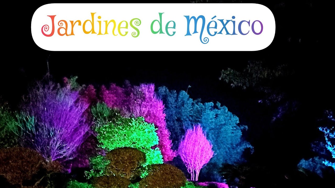 Conozcamos #jardinesdeméxico 🌸💮🏵