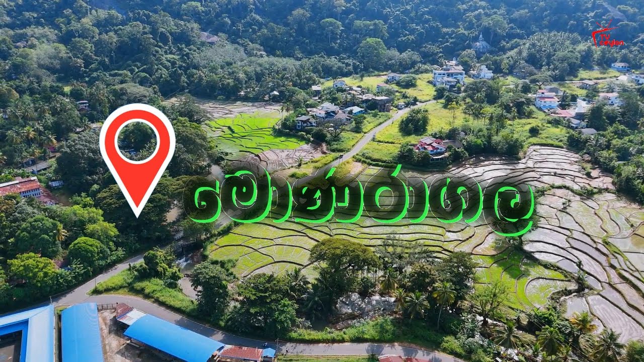 ජීලෝන් - මොණරාගල - පුංචි නුවරඑලිය | Travel with Shamal | Jeelone Vlog | Monaragala Jeelone Bunglow