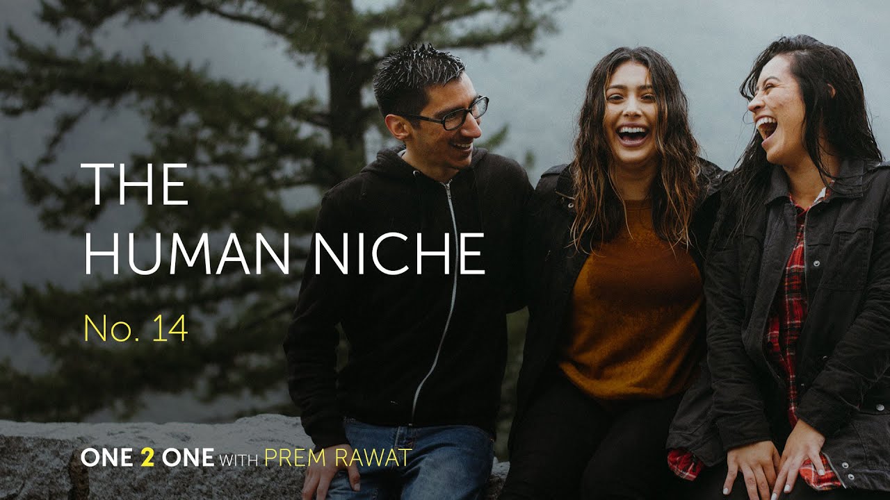 One 2 One, No. 14 - The Human Niche