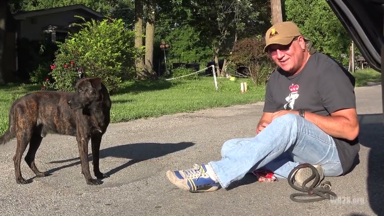 2 Chained Neglected Dogs Rescued by Stray Rescue St Louis Founder Randy Grim