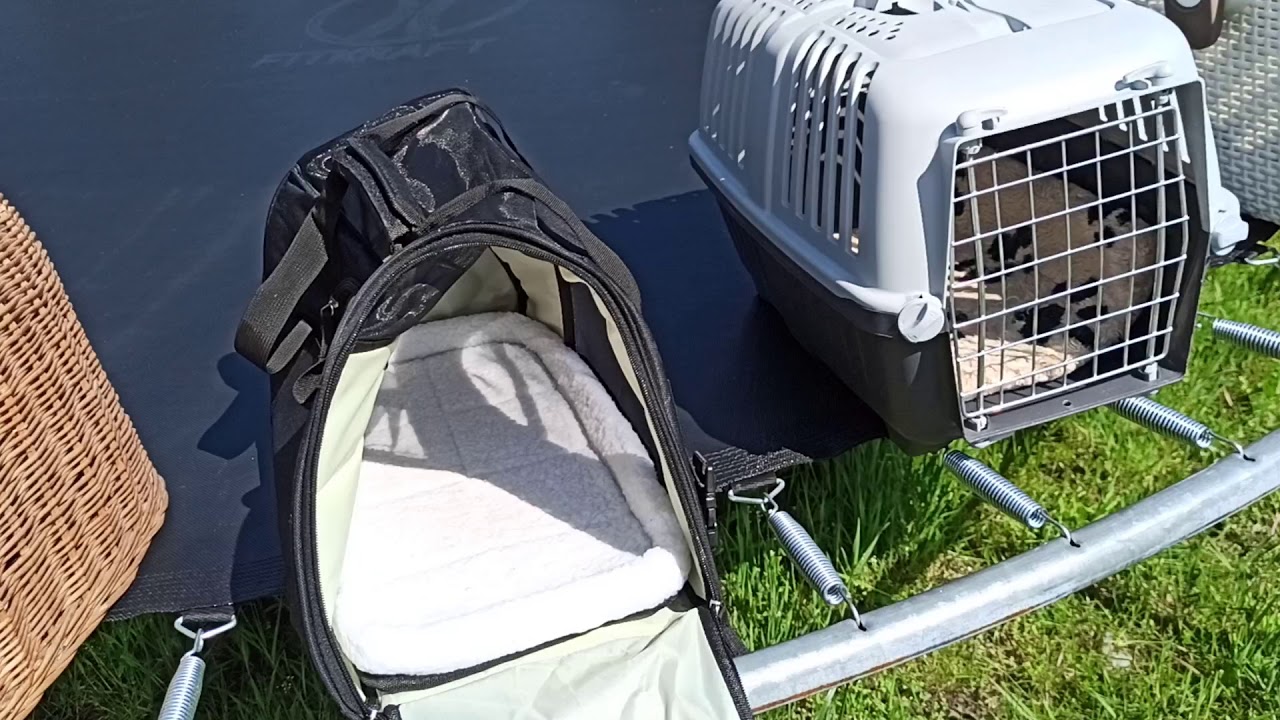 KROPELKA Devon Rex 😻 Transporterek dla Devon Rexa 🐱