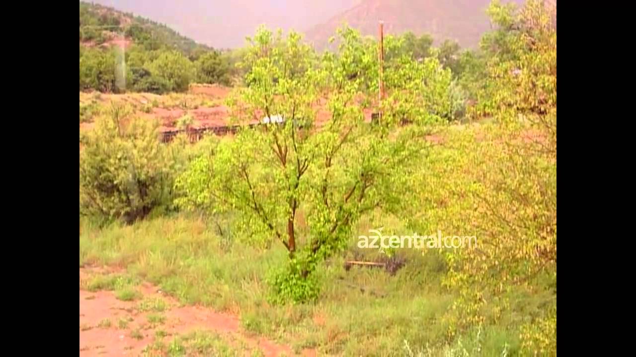 Raw video: Cars washed away in Hildale flash flood