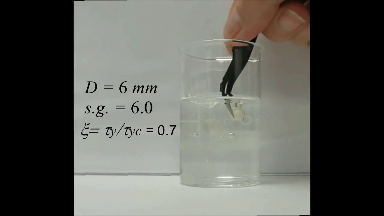 Hydraulic Mineral Waste Transport and Storage: Supplemental Video 1